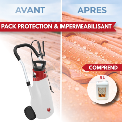 Pulvérisateur électrique ROLLER SPRAYER + Hydrofuge 5L