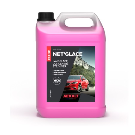 Lave glace NET'GLACE 5 L