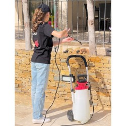 Electric Sprayer ROLLER SPRAYER + Anti-Moss Product 10 L