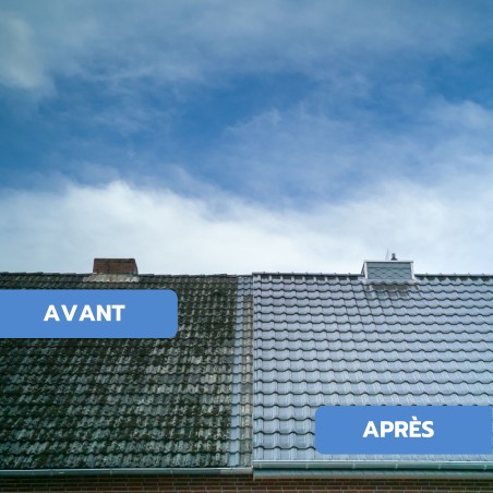 Antimousse concentré toiture, façade, terrasse ULTRA'DMOUSS