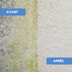 Antimousse concentré toiture, façade, terrasse ULTRA'DMOUSS