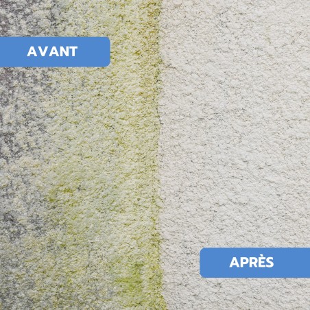 Antimousse concentré toiture, façade, terrasse ULTRA'DMOUSS