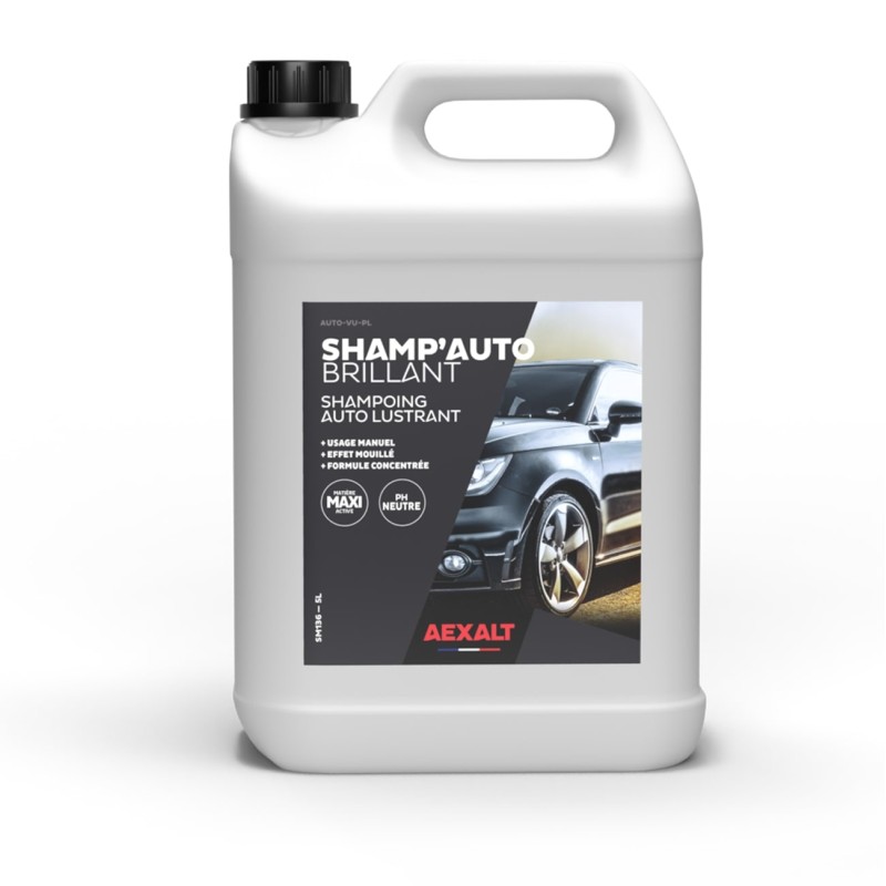 Shampoing carrosserie SHAMP'AUTO BRILLANT - PRO SPRAYER