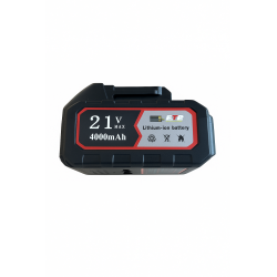 Dorsal Sprayer EVO PHOENIX Battery