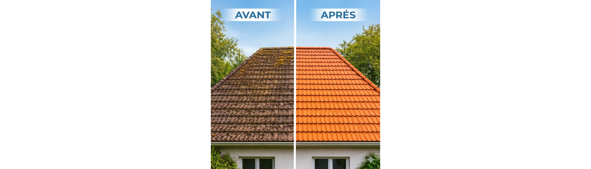 Dach - PRO SPRAYER FRANCE